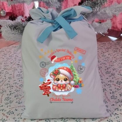 Personalized Kitten 2  Christmas Gift Sack - Santa's Special Delivery Just For You - Image 3