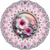 Hibiscus Dream Garden Accent